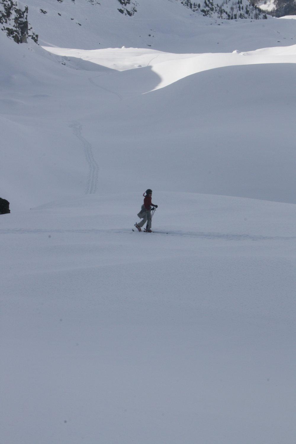 Albergo Alpenrose Ski&Bike Mountain Hotel Gressoney-Saint-Jean Eksteriør bilde