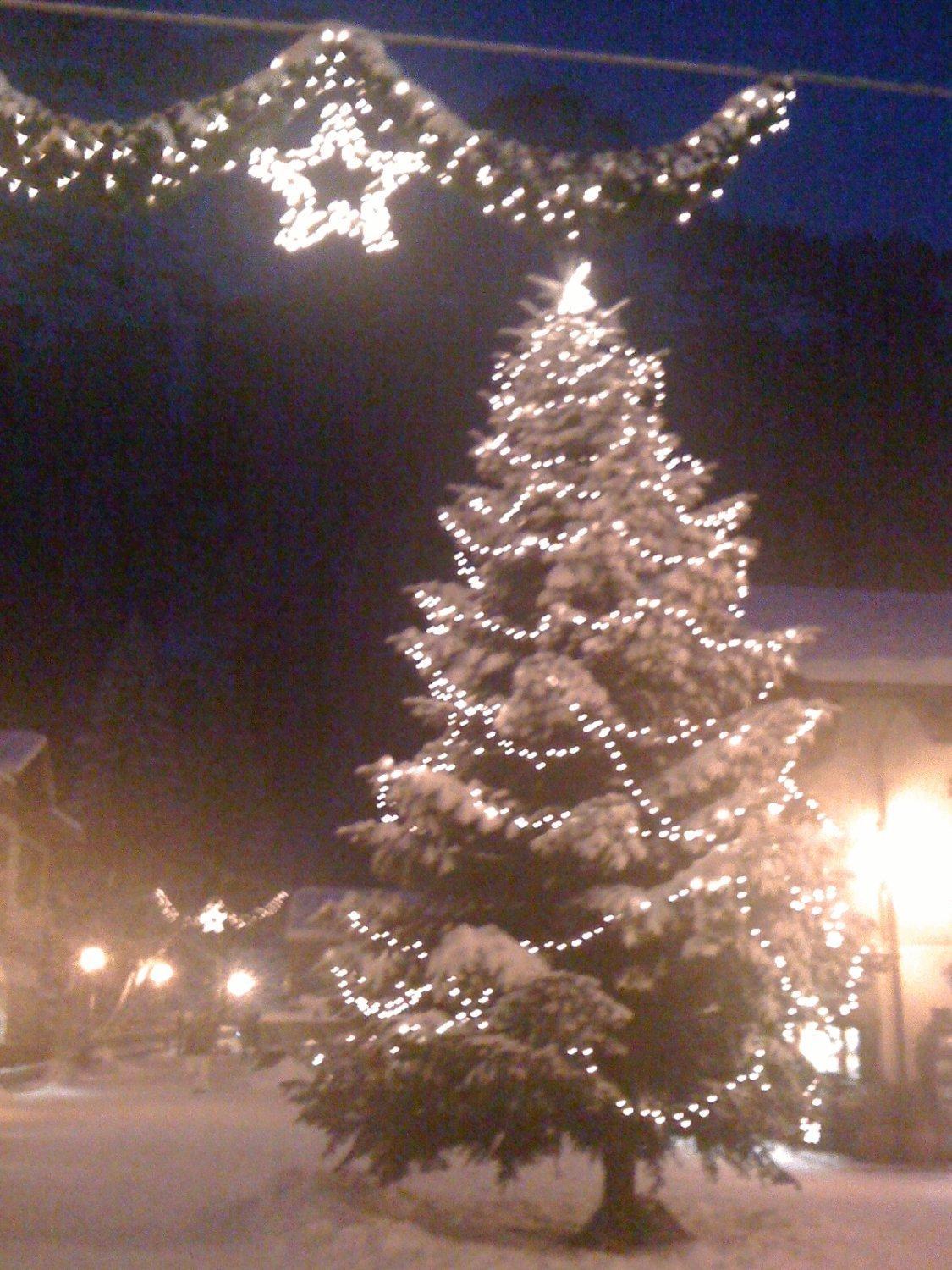 Albergo Alpenrose Ski&Bike Mountain Hotel Gressoney-Saint-Jean Eksteriør bilde
