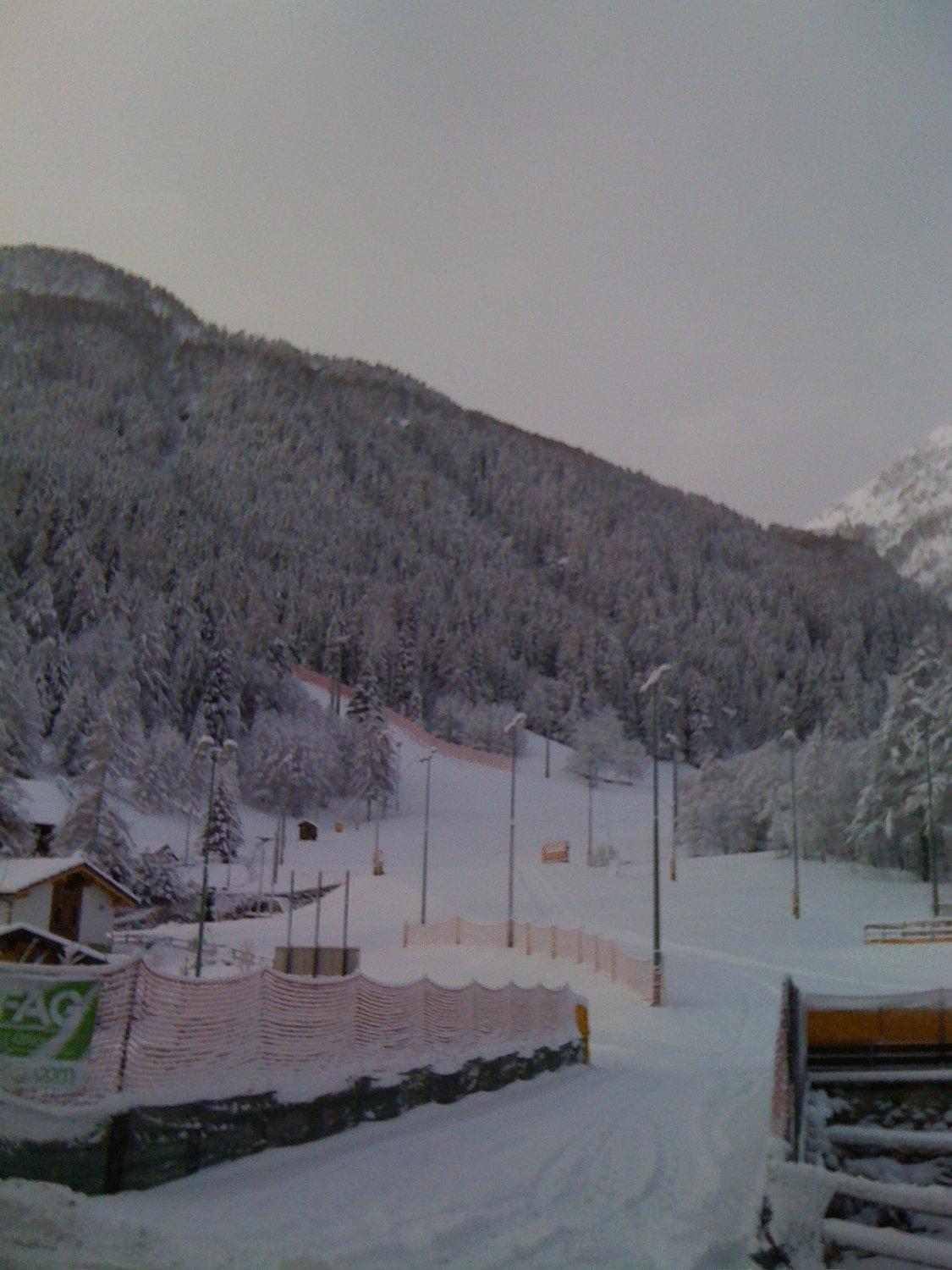 Albergo Alpenrose Ski&Bike Mountain Hotel Gressoney-Saint-Jean Eksteriør bilde