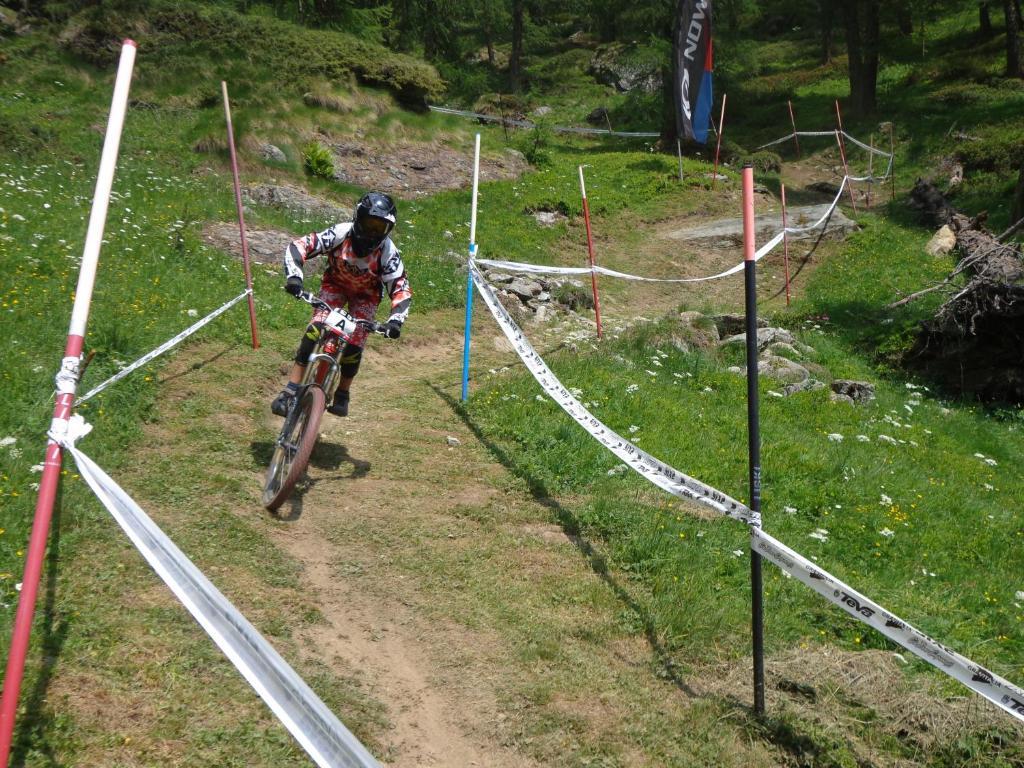 Albergo Alpenrose Ski&Bike Mountain Hotel Gressoney-Saint-Jean Eksteriør bilde