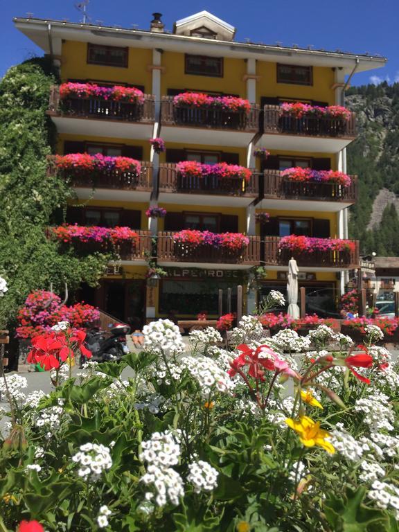Albergo Alpenrose Ski&Bike Mountain Hotel Gressoney-Saint-Jean Eksteriør bilde