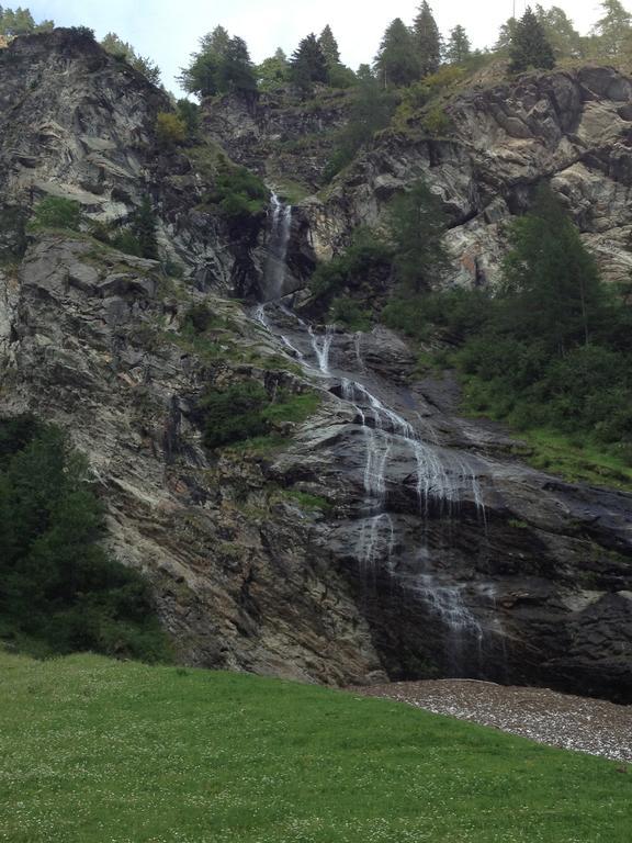 Albergo Alpenrose Ski&Bike Mountain Hotel Gressoney-Saint-Jean Eksteriør bilde
