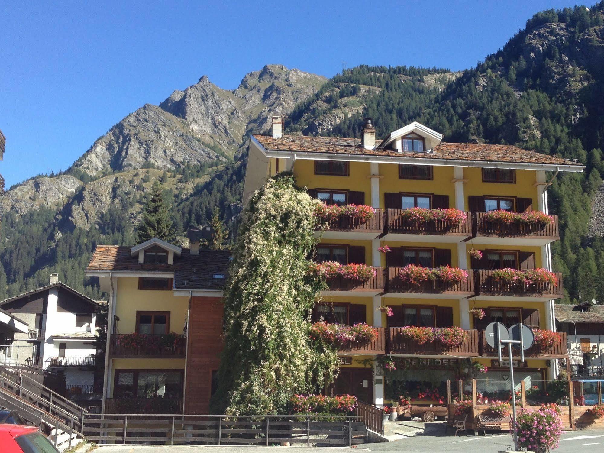 Albergo Alpenrose Ski&Bike Mountain Hotel Gressoney-Saint-Jean Eksteriør bilde