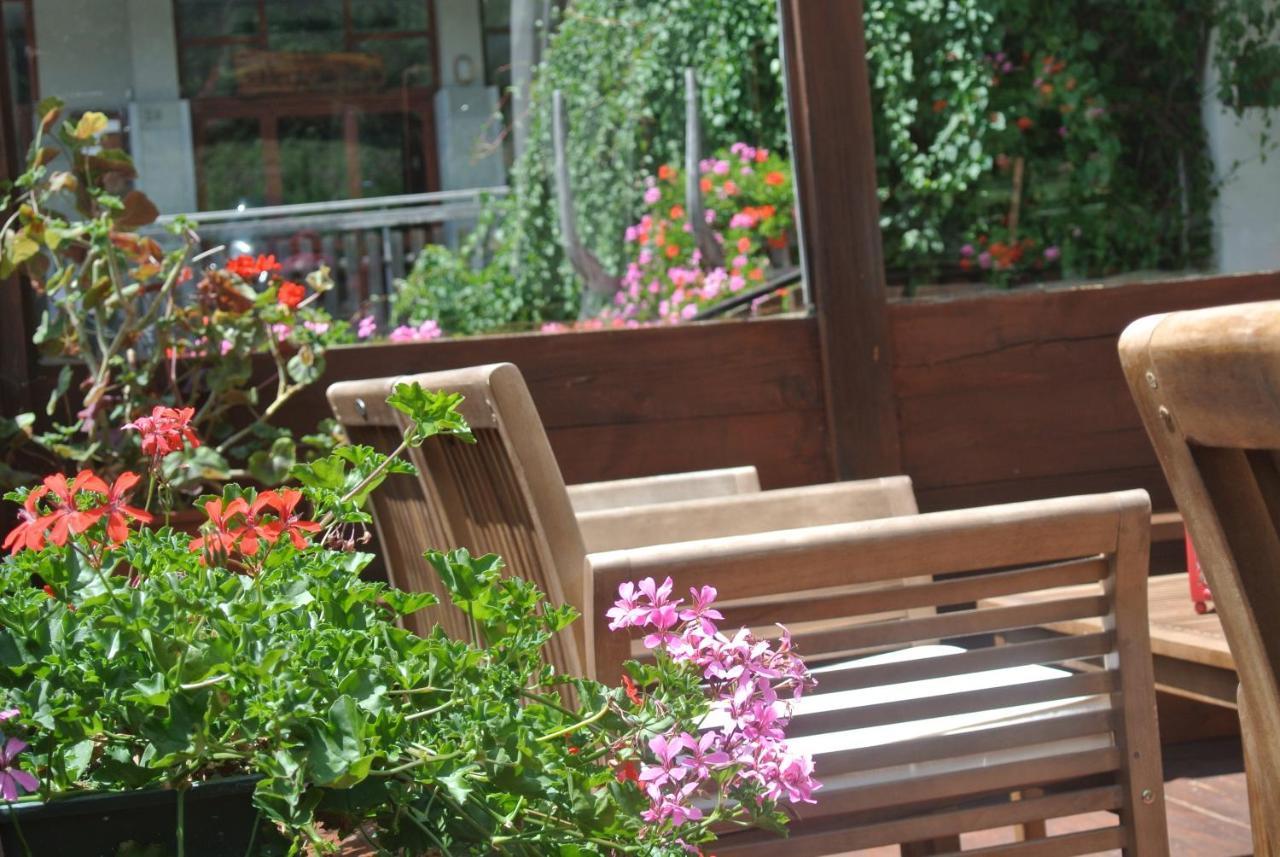 Albergo Alpenrose Ski&Bike Mountain Hotel Gressoney-Saint-Jean Eksteriør bilde