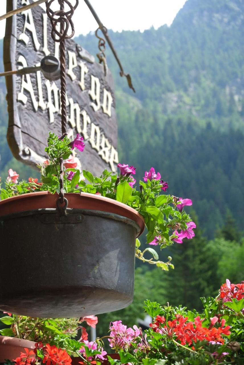 Albergo Alpenrose Ski&Bike Mountain Hotel Gressoney-Saint-Jean Eksteriør bilde