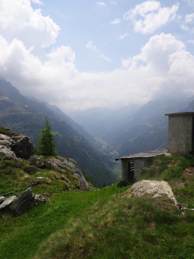 Albergo Alpenrose Ski&Bike Mountain Hotel Gressoney-Saint-Jean Eksteriør bilde